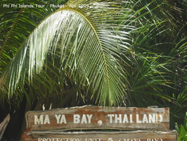20090420 Phi Phi Island - Maya Bay- Koh Khai  95 of 182 